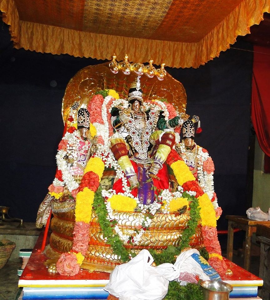 Sri Balaji Mandir Fanswadi Vasamahotsavamn (9)