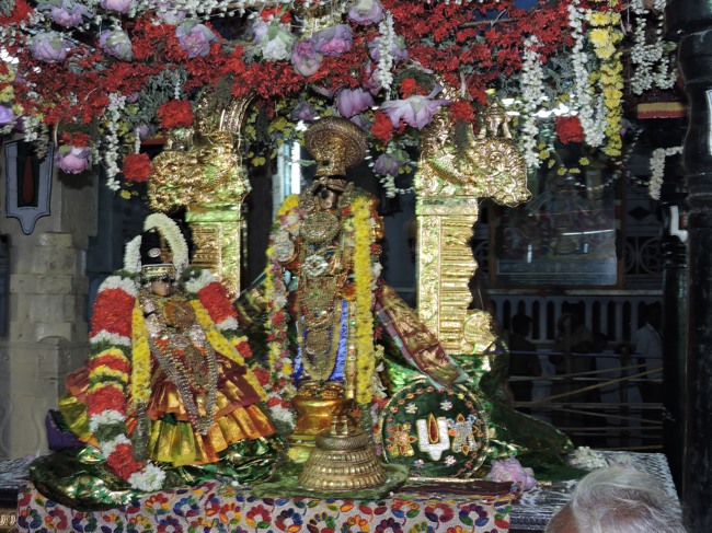 Sri Namperumal Uraiyur Ezhundarulal Serthi-2015-11