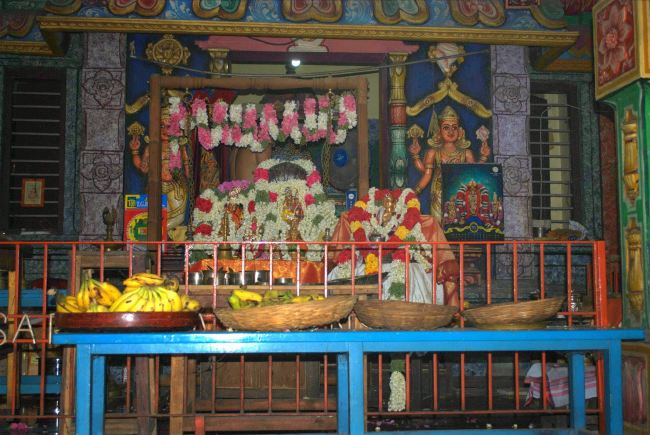 Sri Seva Swami 93rd THirunakshatra Utsavam2015 09