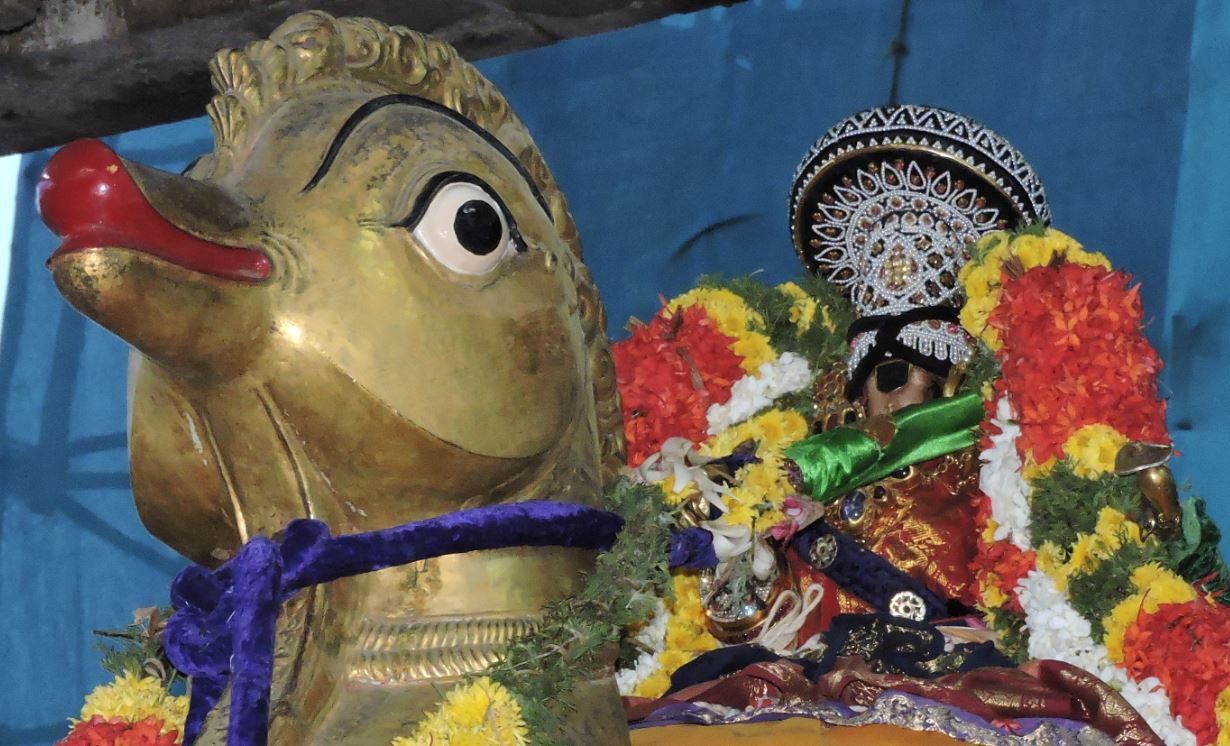 Sri namperumal Viruppan Thirunal  Hamsa vahanam-1 2015