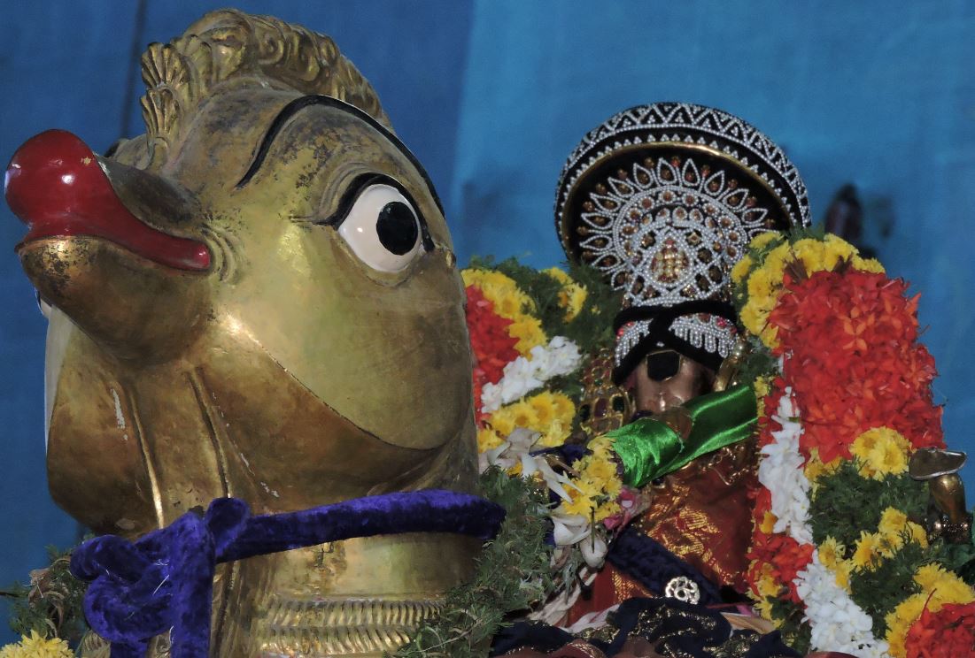 Sri namperumal Viruppan Thirunal  Hamsa vahanam  2015