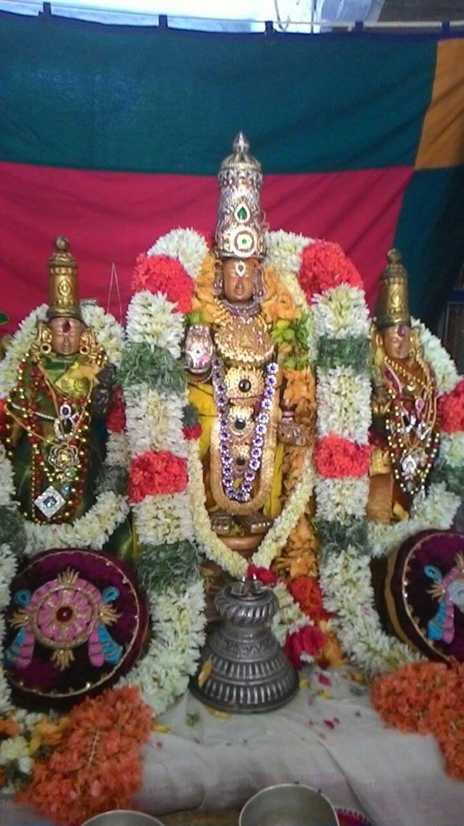 SriNilamangaiThayar_Thirukkadalmallai3