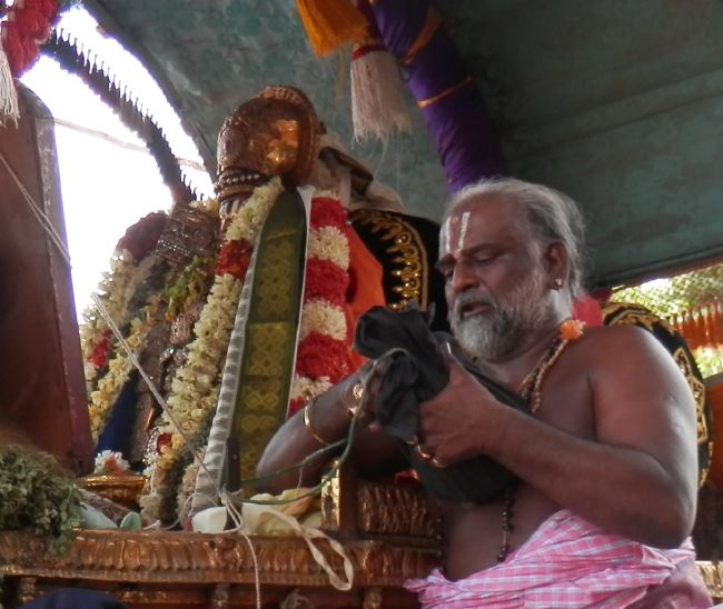 Sriperumbudur Sri Ramanuja Avatara Utsavam  2015 02