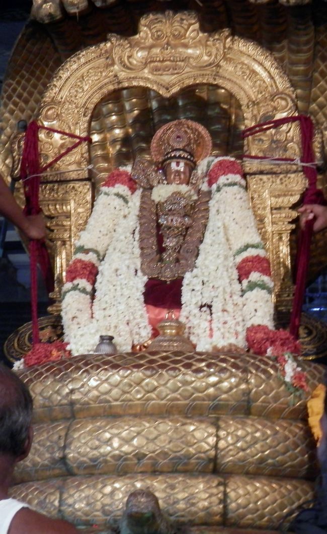 Sriperumbudur Sri Ramanuja Avatara Utsavam day 8 Sesha Vahanam  2015 07