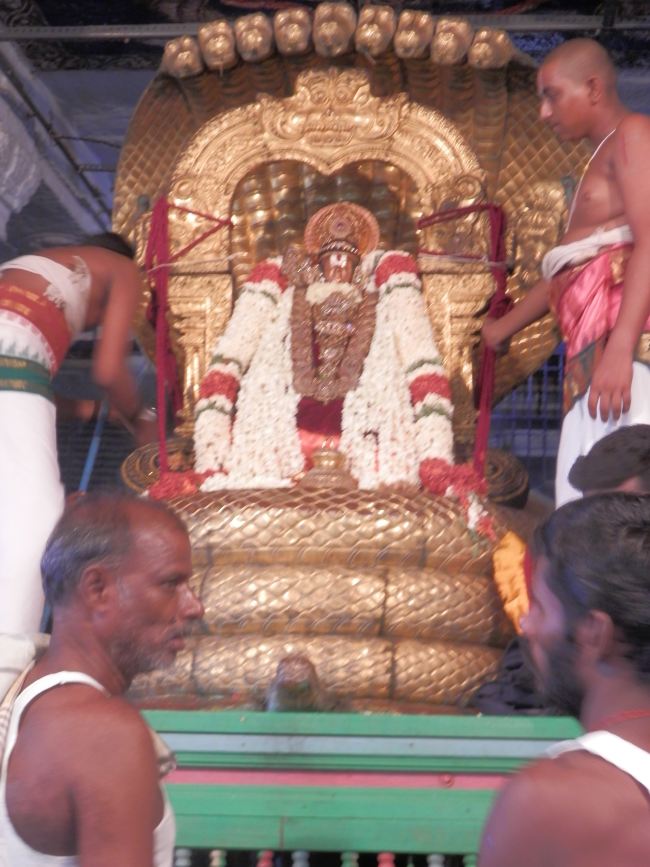 Sriperumbudur Sri Ramanuja Avatara Utsavam day 8 Sesha Vahanam  2015 08