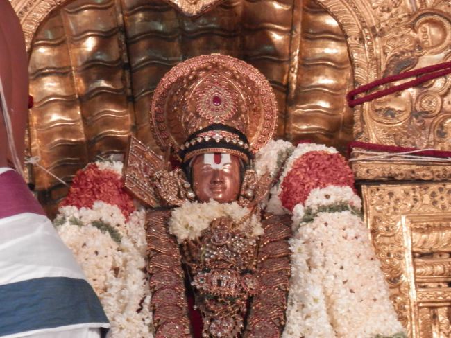 Sriperumbudur Sri Ramanuja Avatara Utsavam day 8 Sesha Vahanam  2015 11