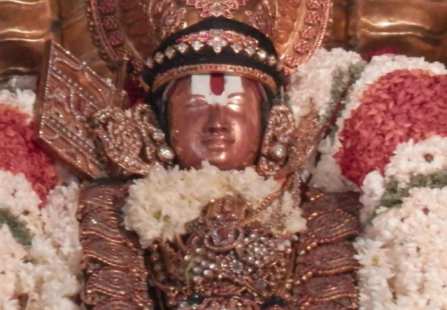 Sriperumbudur Sri Ramanuja Avatara Utsavam day 8 Sesha Vahanam  2015 12