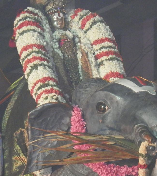 Sriperumbudur Sri Ramanuja Avatara Utsavam day 8 gaja  Vahanam  2015 6