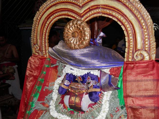 Sriperumbudur Srinivasa  perumal temple Ramanuja Jayanthi  2015 39