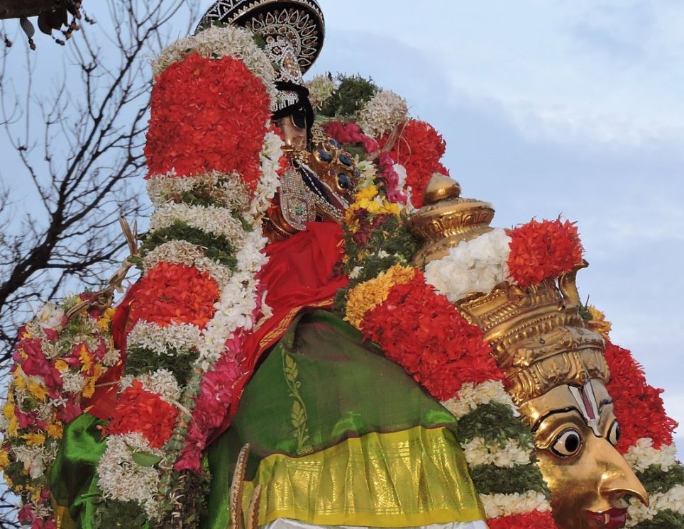 Srirangam Garuda sevai 2015
