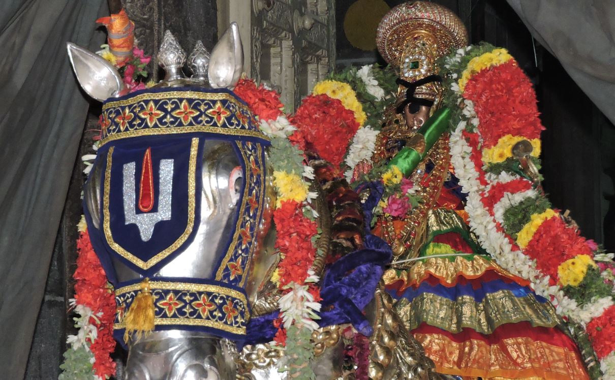 Srirangam Namperumal Velli kudhirai 1 2015