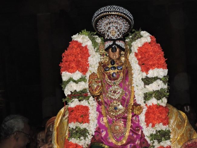 Srirangam Viruppan Thirunal Sapthavaranam Purappadu   2015 32