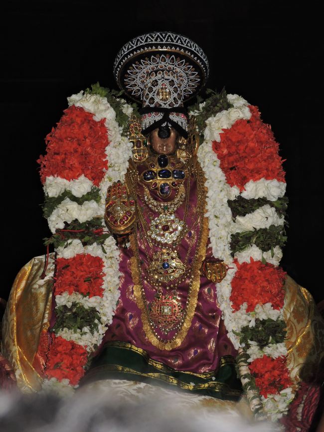 Srirangam Viruppan Thirunal Sapthavaranam Purappadu   2015 46