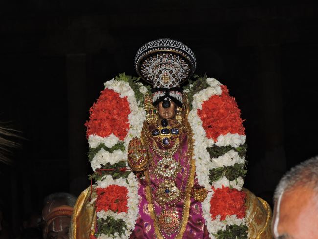 Srirangam Viruppan Thirunal Sapthavaranam Purappadu   2015 48