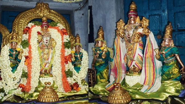 THiruvelukkai Azhagiyasinga perumal temple Ramanuja Jayanthi  2015 17