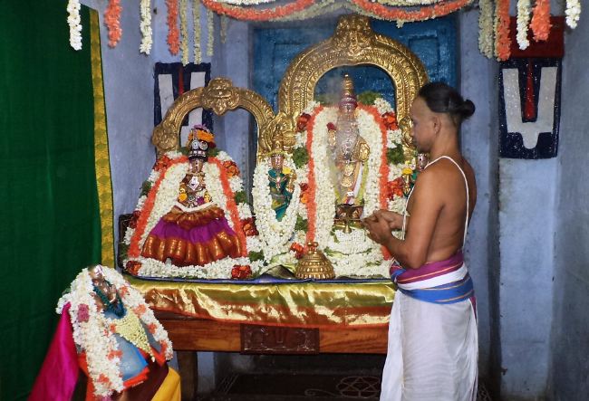 THiruvelukkai Azhagiyasinga perumal temple Ramanuja Jayanthi  2015 19
