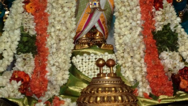 THiruvelukkai Azhagiyasinga perumal temple Ramanuja Jayanthi  2015 28