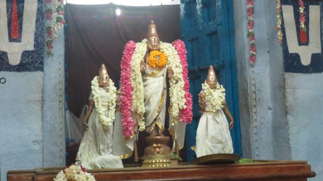 THiruvelukkai Sri Azhagiya Singaperumal Temple Manmadha varusha Pirappau utsavam  201501