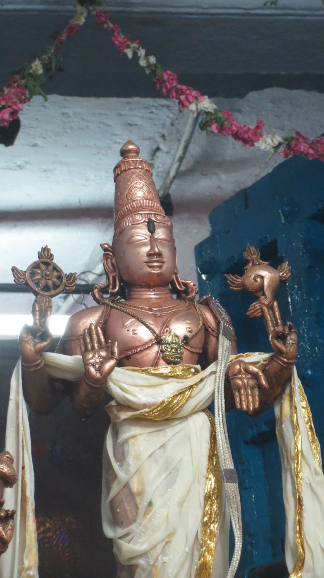 THiruvelukkai Sri Azhagiya Singaperumal Temple Manmadha varusha Pirappau utsavam  201512