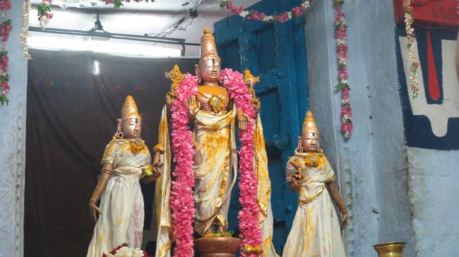 THiruvelukkai Sri Azhagiya Singaperumal Temple Manmadha varusha Pirappau utsavam  201520