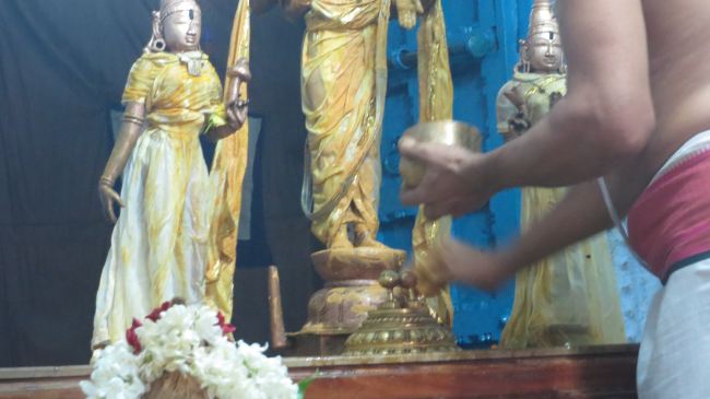 THiruvelukkai Sri Azhagiya Singaperumal Temple Manmadha varusha Pirappau utsavam  201529