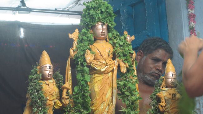 THiruvelukkai Sri Azhagiya Singaperumal Temple Manmadha varusha Pirappau utsavam  201533