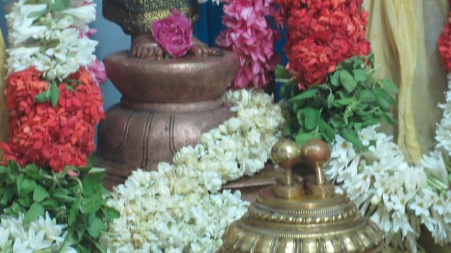 THiruvelukkai Sri Azhagiya Singaperumal Temple Manmadha varusha Pirappau utsavam  201546
