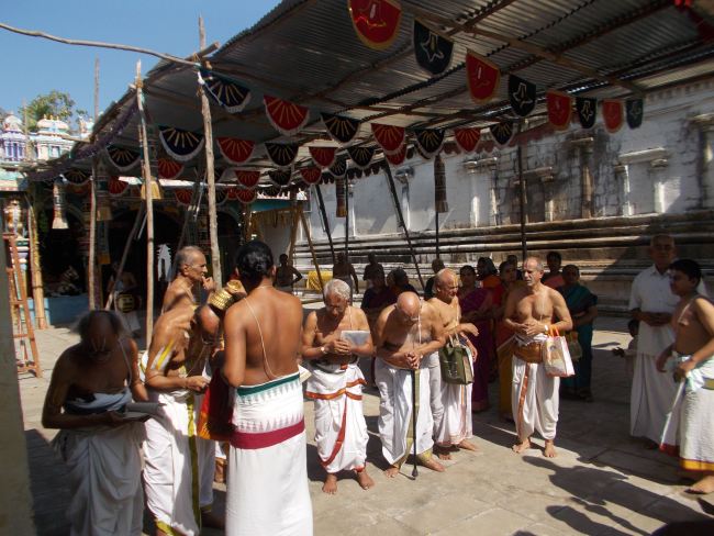Therazhundur Sri Amaruviappan Temple Panguni Uthram Utsavam day 7 2015 -03
