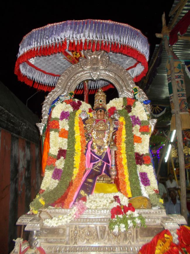 Therazhundur Sri Amaruviappan Temple Panguni Uthram Utsavam day 7 2015 -10