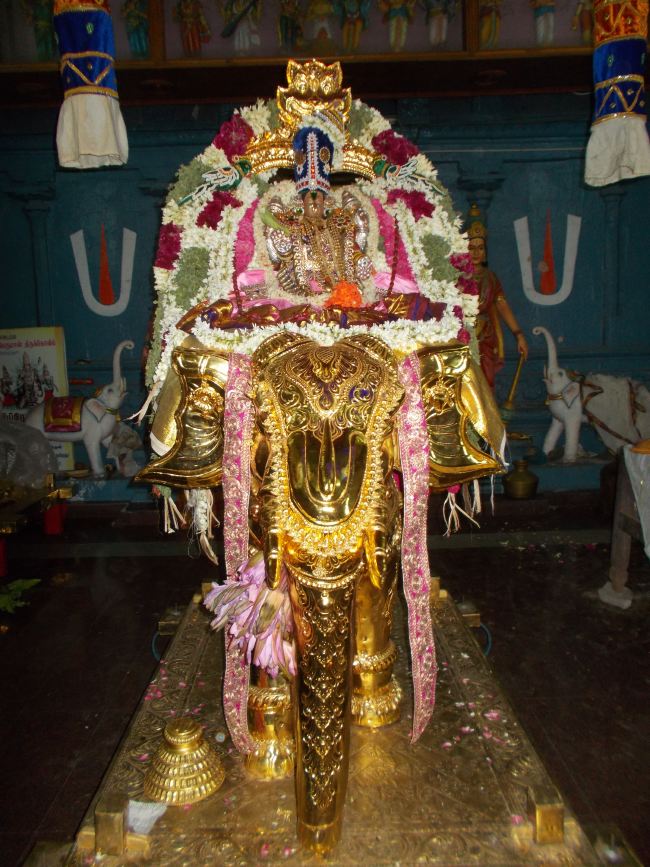 Therazhundur Sri Senkamalavalli Thayar Panguni Uthram Utsavam Yanai vahanam 2015 -10