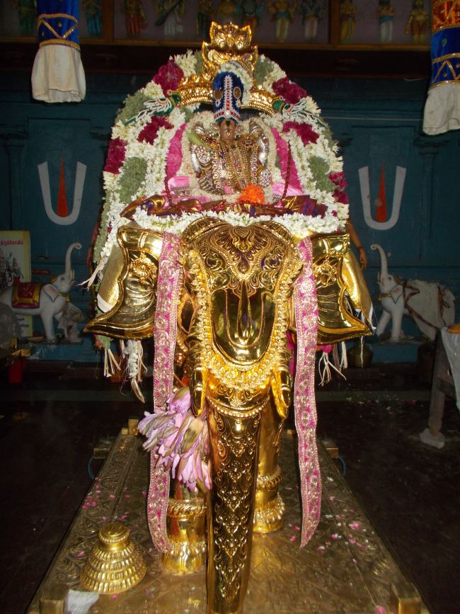 Therazhundur Sri Senkamalavalli Thayar Panguni Uthram Utsavam Yanai vahanam 2015 -11