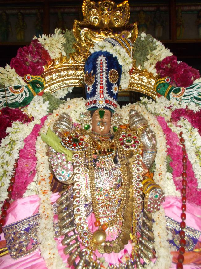 Therazhundur Sri Senkamalavalli Thayar Panguni Uthram Utsavam Yanai vahanam 2015 -15