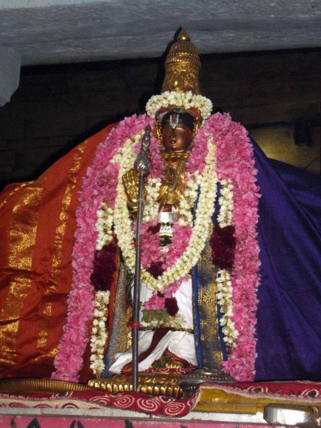 Thirukanamalai _Manmatha Varusha Purrapadu (5)