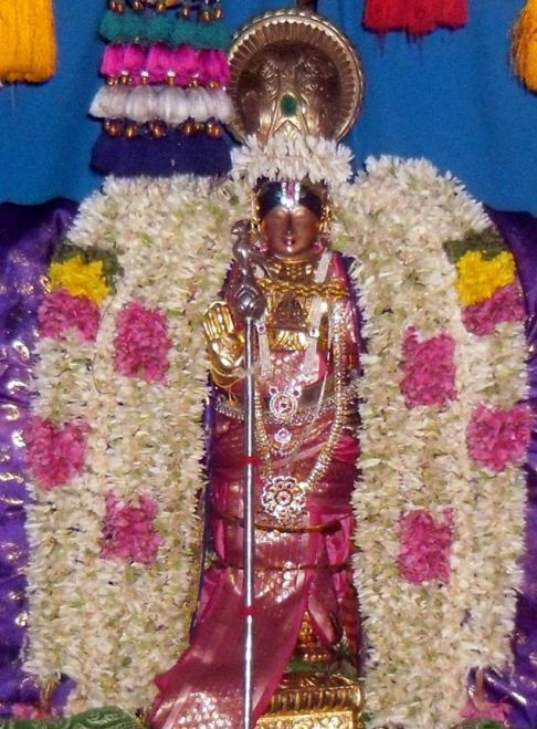 Thirukannamangai -Sri Baktavatsala Perumal Day 4 (14)