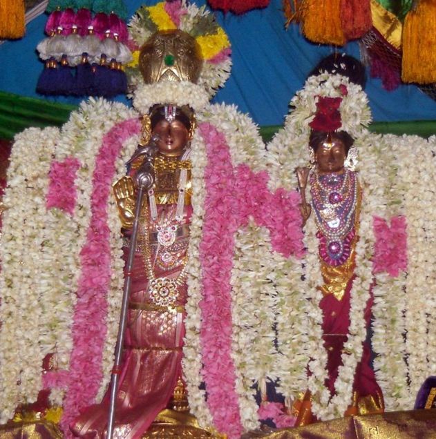 Thirukannamangai -Sri Bhaktavatsala Perumal Day 3 (10)