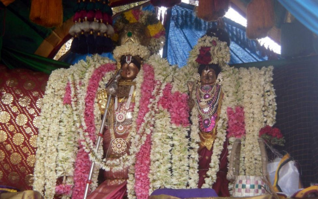 Thirukannamangai -Sri Bhaktavatsala Perumal Day 3 (13)