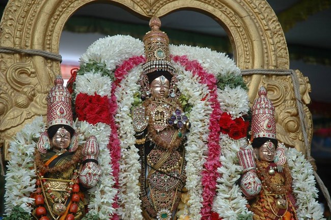Thiruneermalai Sri Neervanna Perumal Temple Panguni Brahmotsavam Commences26