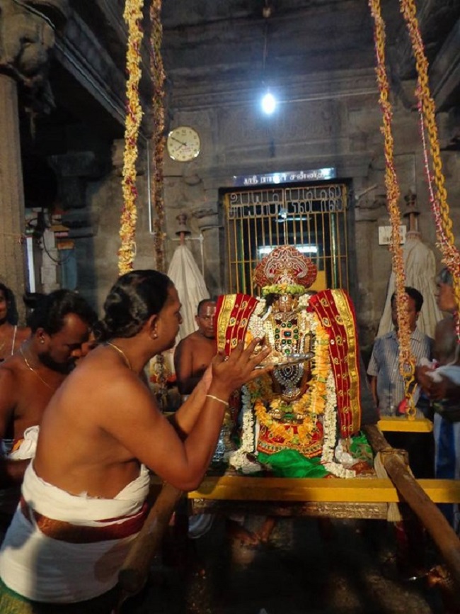 Thiruneermalai Sri Neervanna Perumal Temple Panguni Brahmotsavam11