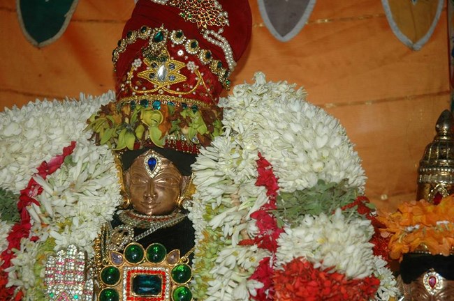 Thiruneermalai Sri Neervanna Perumal Temple Panguni Brahmotsavam13
