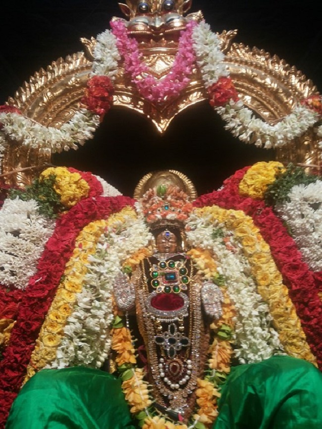 Thiruneermalai Sri Neervanna Perumal Temple Panguni Brahmotsavam18