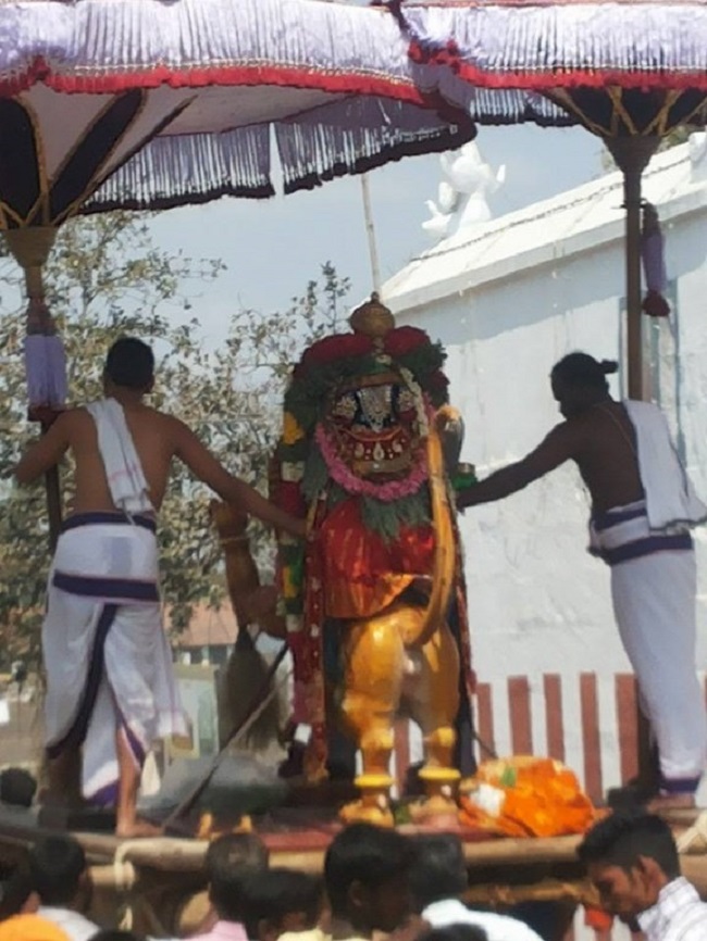 Thiruneermalai Sri Neervanna Perumal Temple Panguni Brahmotsavam3