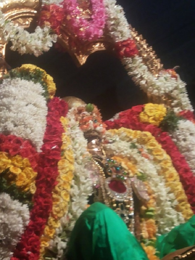 Thiruneermalai Sri Neervanna Perumal Temple Panguni Brahmotsavam5