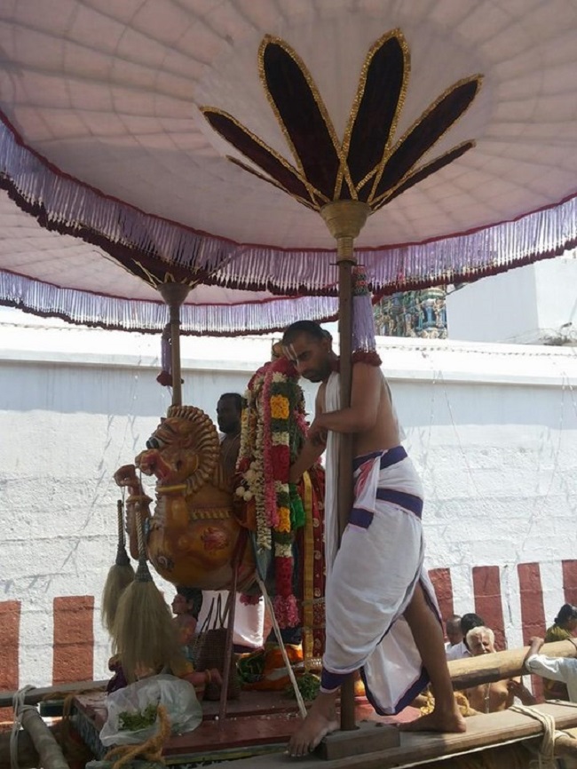 Thiruneermalai Sri Neervanna Perumal Temple Panguni Brahmotsavam8