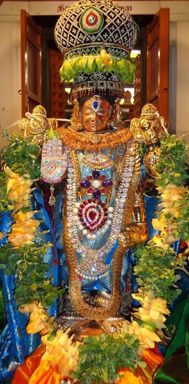 Thiruneermalai Sri Neervanna Perumal Temple Panguni Brahmotsavam9