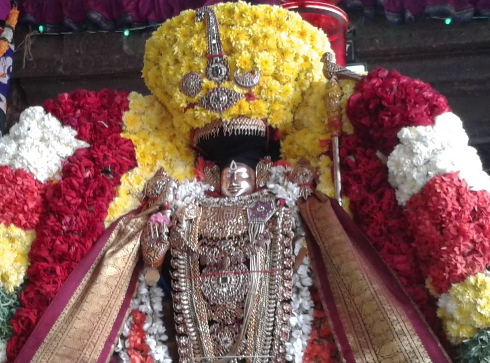 Thiruvahindarapuram sri devanatha perumal Brahmostsavam