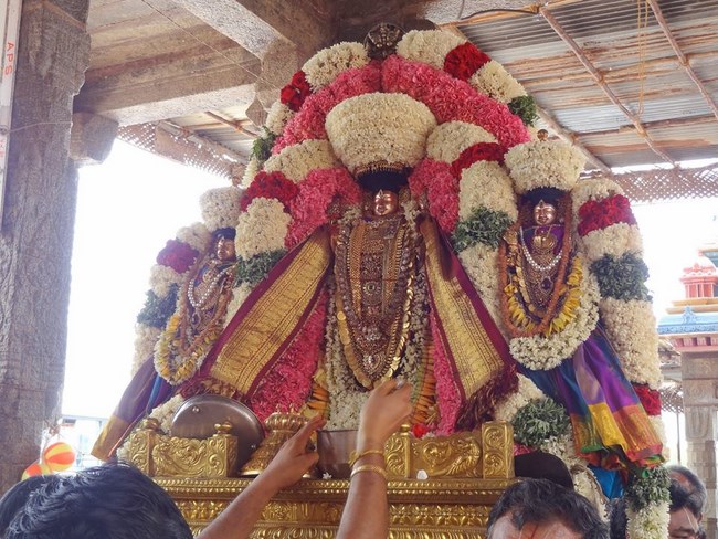 Thiruvahindrapuram Sri Devanathan Perumal Temple Chithirai Brahmotsavam Commences17
