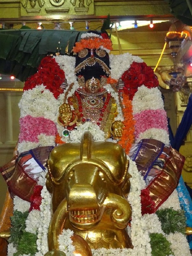 Thiruvahindrapuram Sri Devanathan Perumal Temple Chithirai Brahmotsavam Commences24