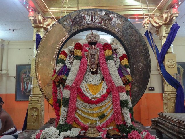 Thiruvahindrapuram Sri Devanathan Perumal Temple Chithirai Brahmotsavam22