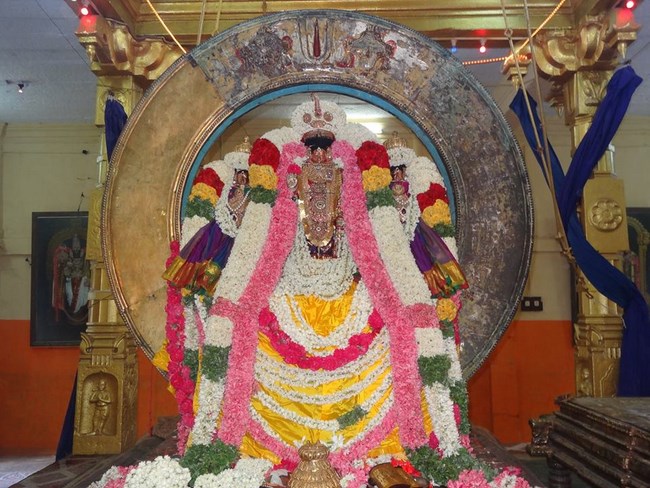 Thiruvahindrapuram Sri Devanathan Perumal Temple Chithirai Brahmotsavam3