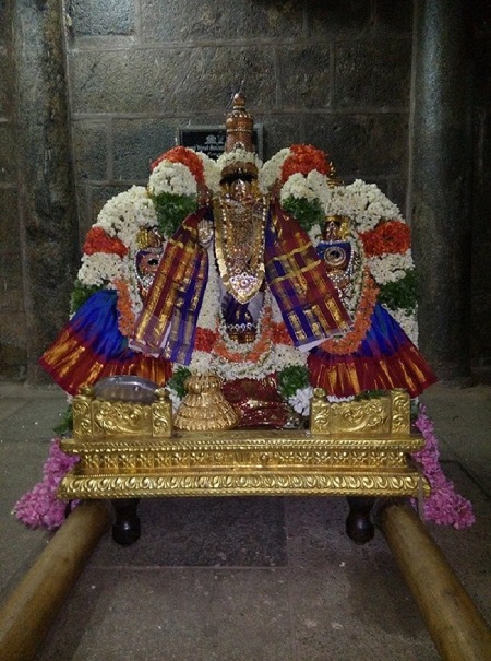 Thiruvahindrapuram Sri Devanathan Perumal Temple Manmadha Varusha Pirappu Purappadu2